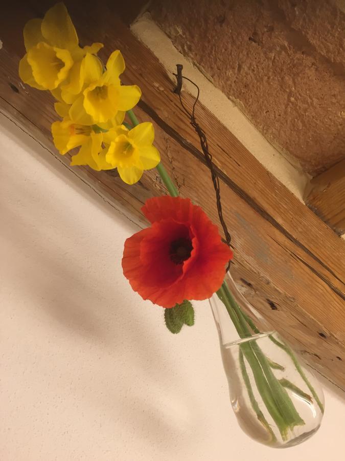 Tabano Ristorante-Casolare Bed & Breakfast Iesi Exterior foto